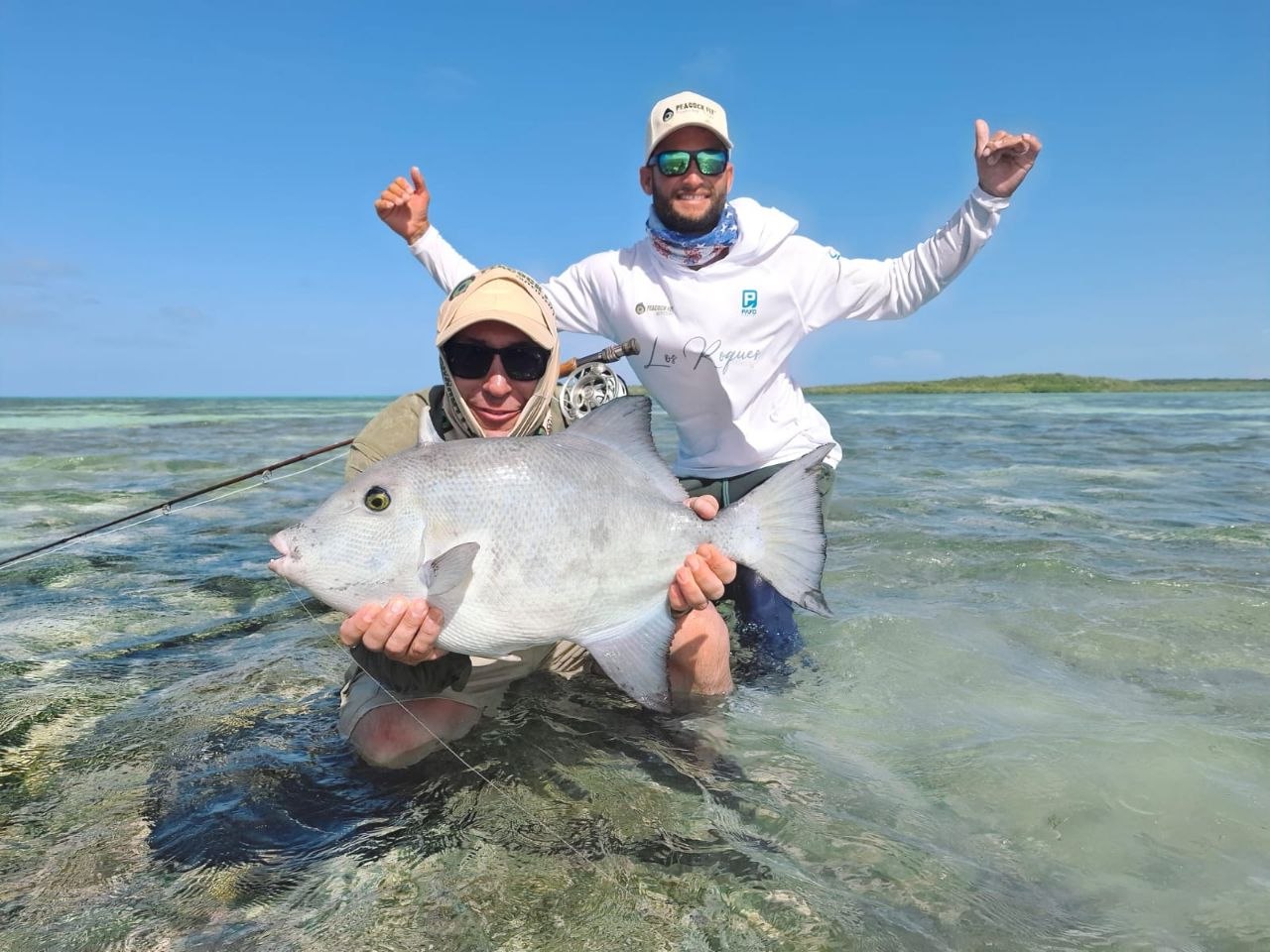 Triggerfish capturado durante la temporada 2026 en Los Roques.